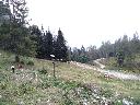 IMG_20190731_152832